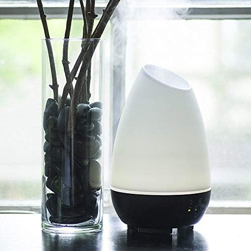 HealthSmart Important Oil Diffuser, Cool Mist Humidifier And